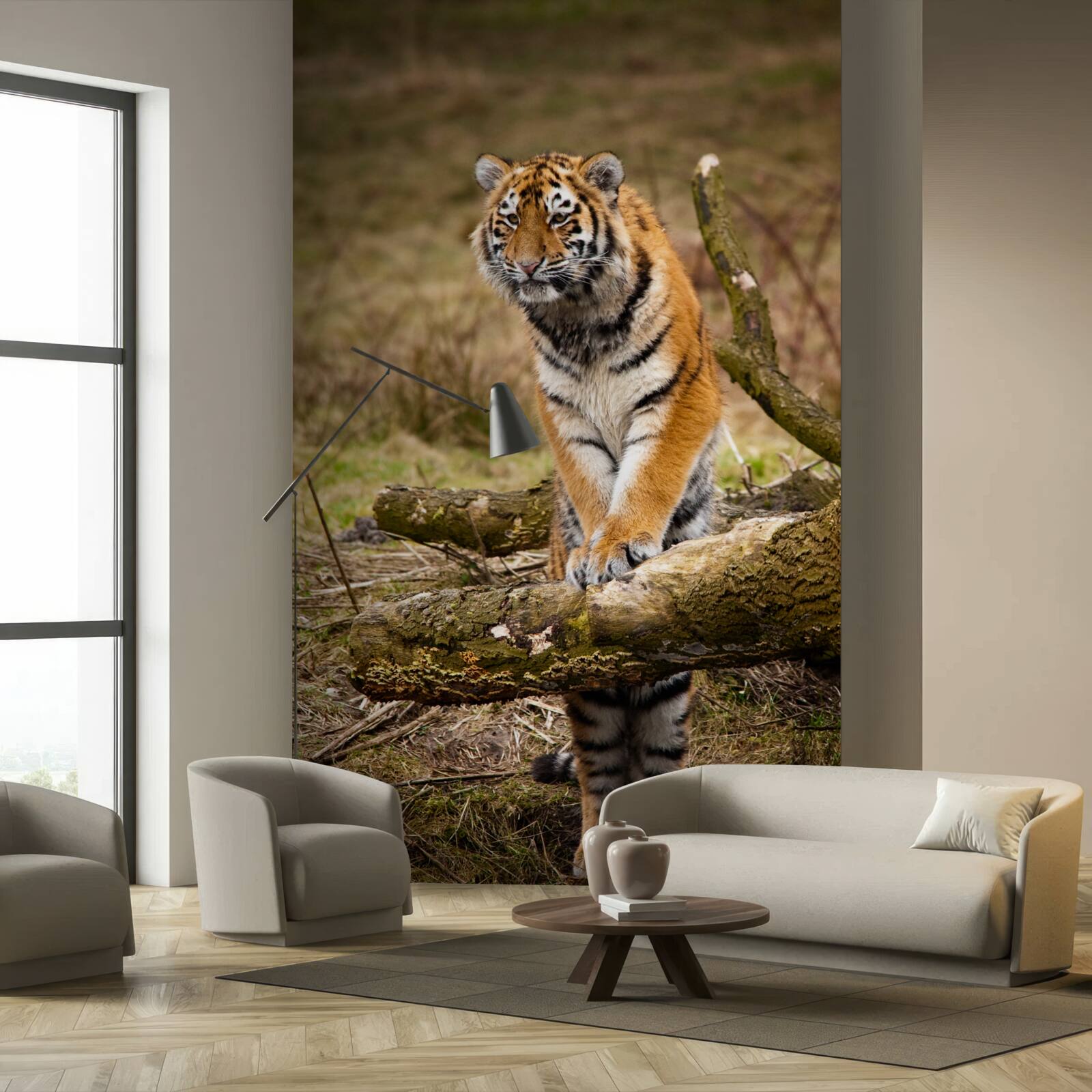 Fototapeten Der Tiger sitzt auf dem Zweig und wartet auf das Opfer