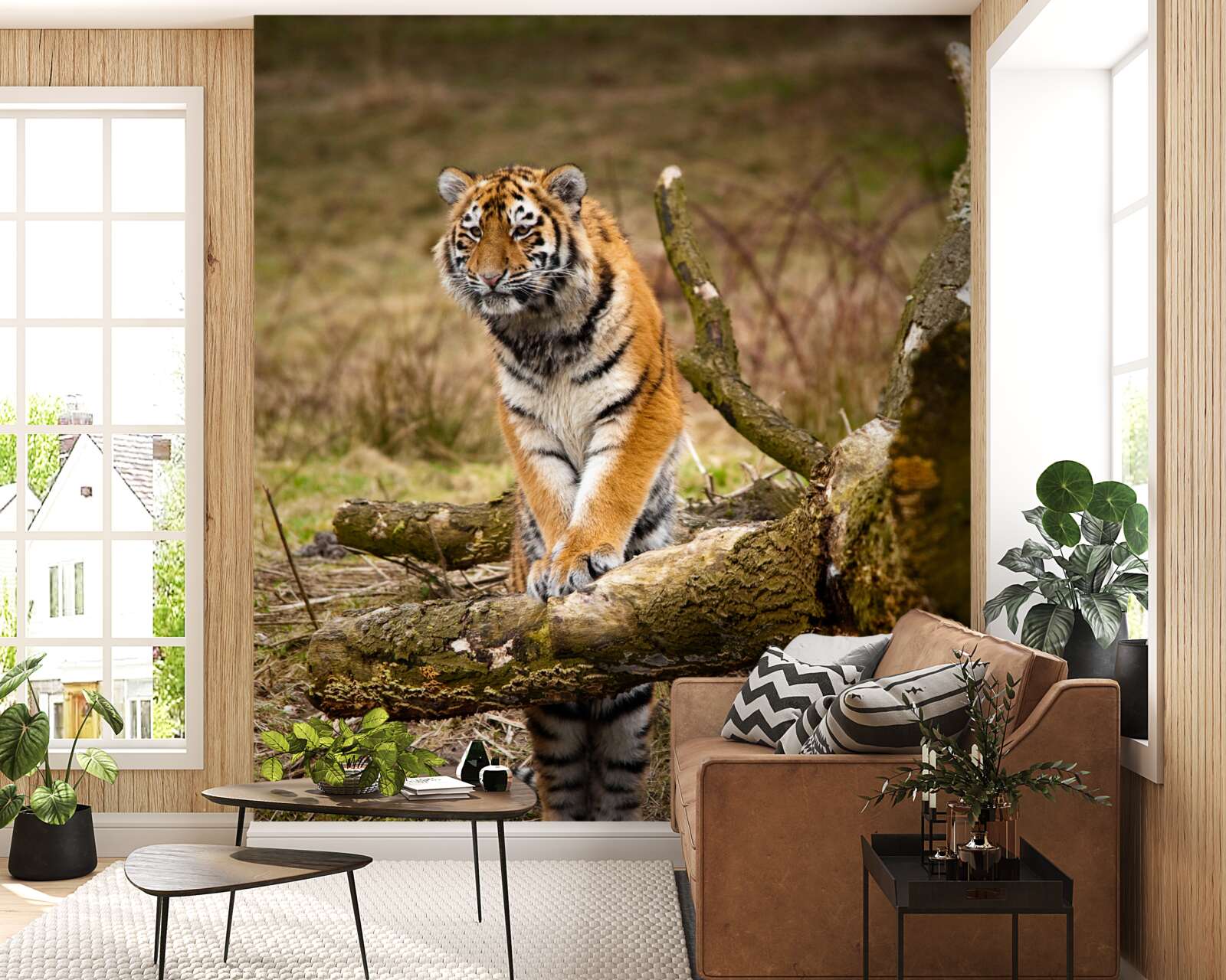 Fototapeten Der Tiger sitzt auf dem Zweig und wartet auf das Opfer