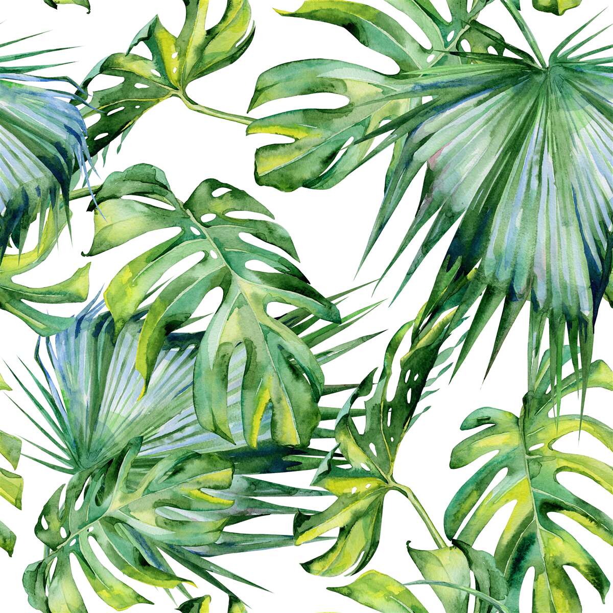 Fototapeten Monstera verlässt die Tropen