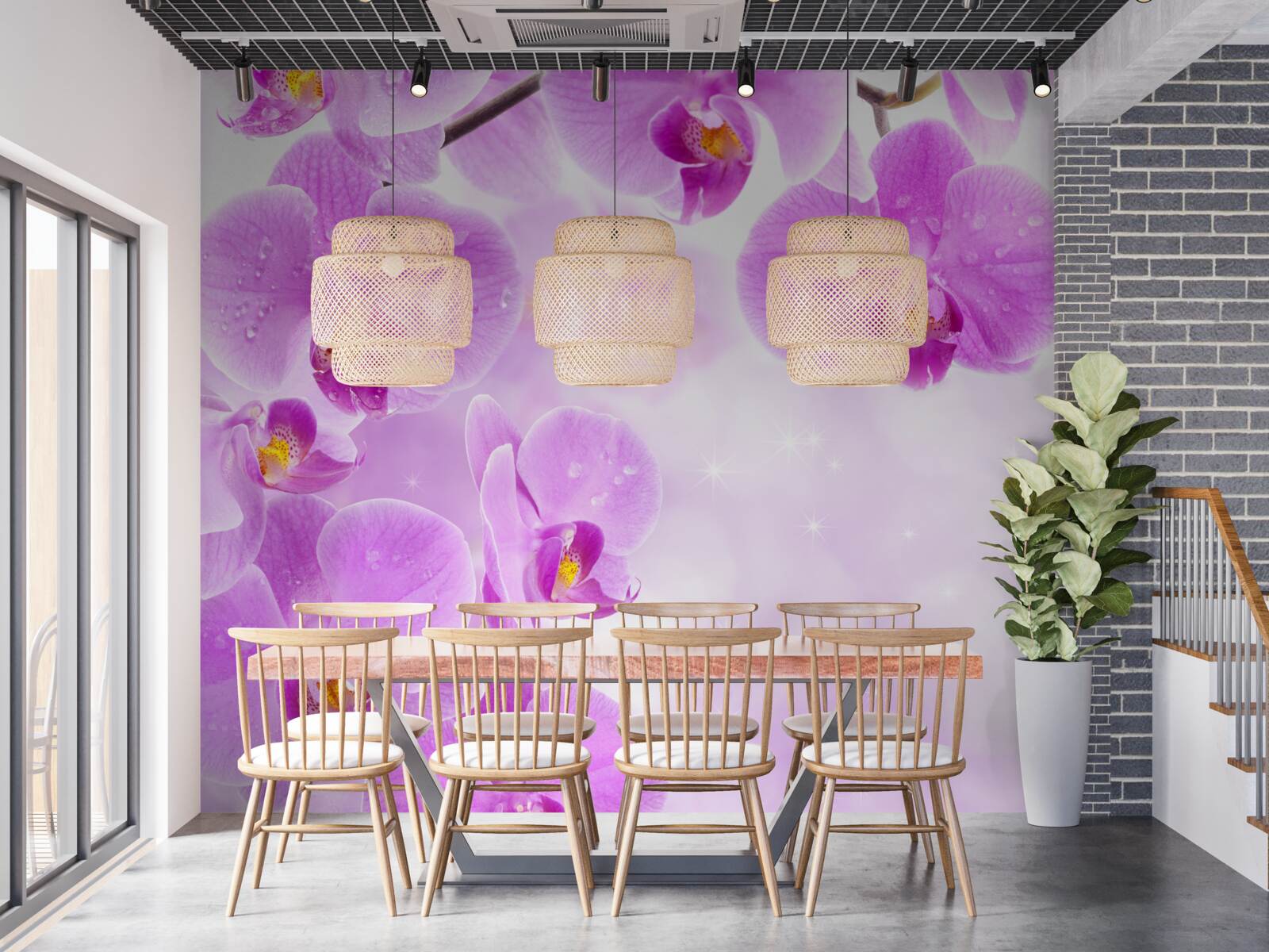 Fototapeten Große lila Orchideen, die auf den Zweigen blühten