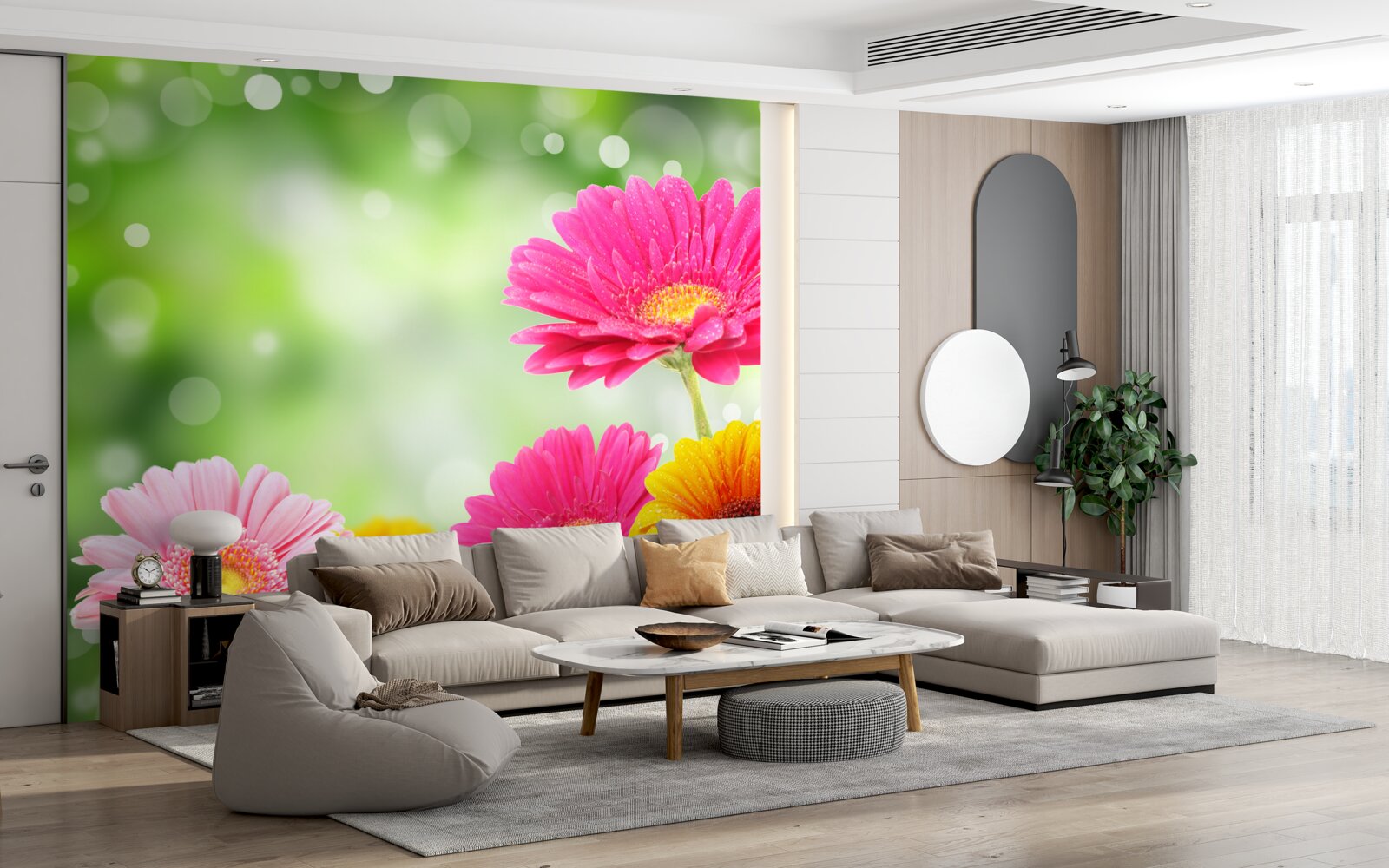 Fototapeten Gerberas glänzt unter Regentropfen