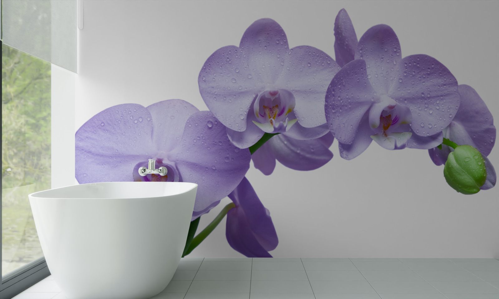 Fototapeten Ein Zweig eines hellen lila Orchidee
