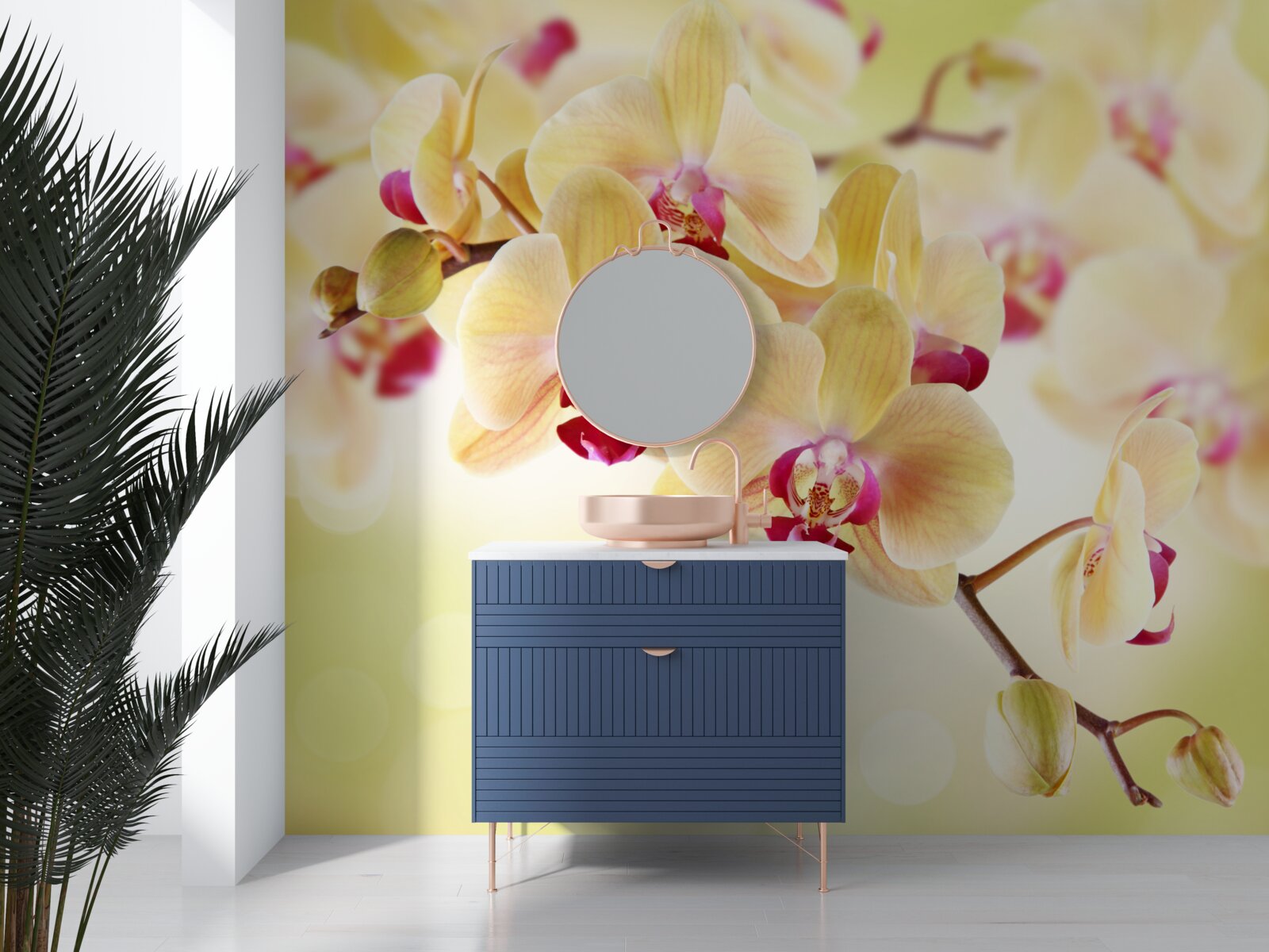 Fototapeten Weiche Creme Orchidee mit anmutigen Knospen