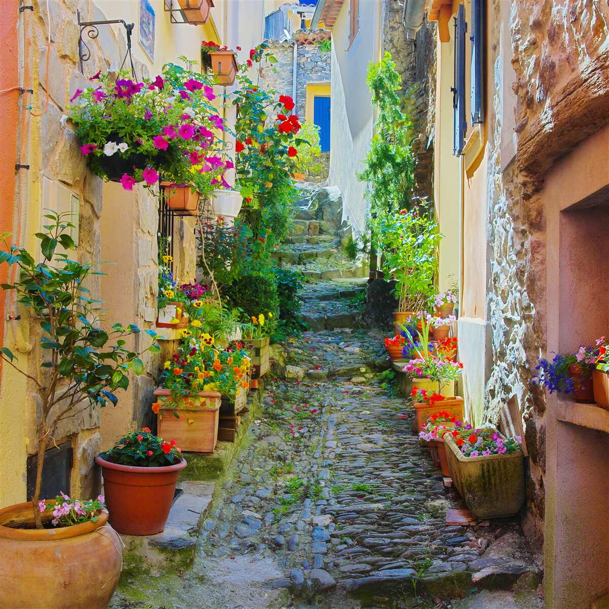 Fototapeten Eine schmale und gemütliche Straße im alten Teil der Stadt, umgeben von Blumen