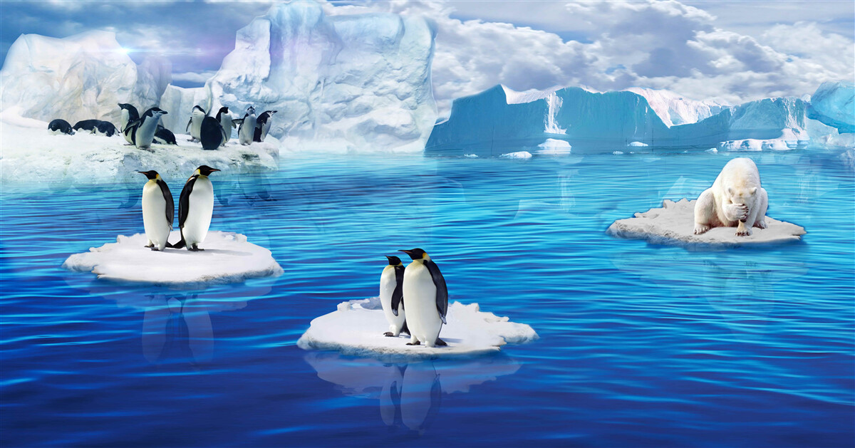 Fototapeten Penguin -Familien auf Eisplattformen