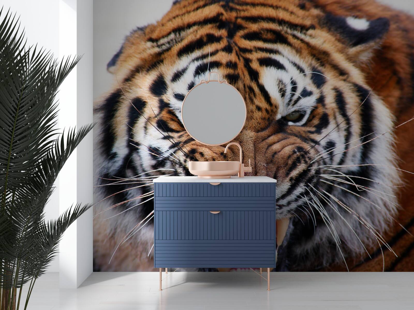 Fototapeten Ein wütender erwachsener Tiger gibt einen Brüllen