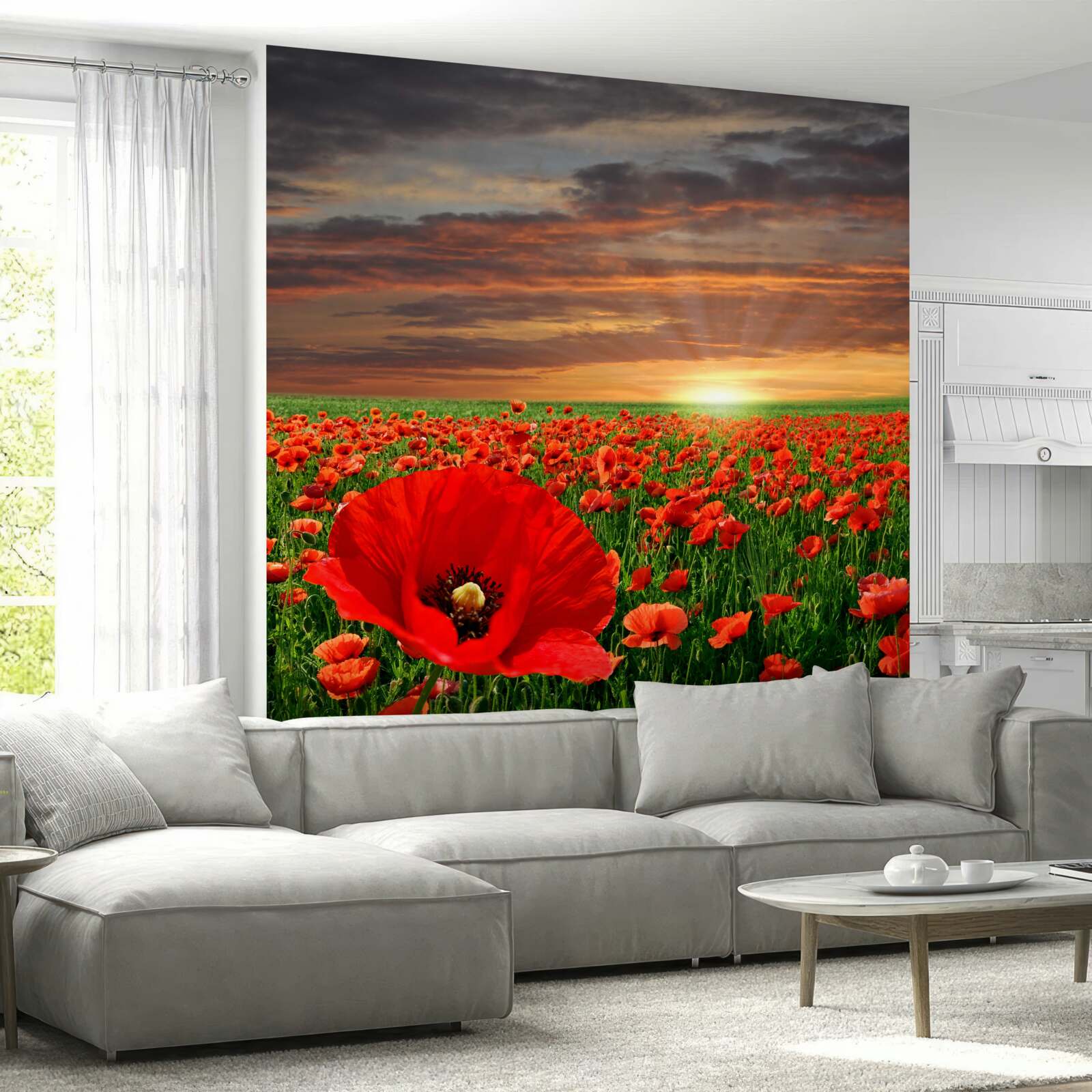 Fototapeten Der Sonnenuntergang verschwindet gegen das Feld der roten Mohnblumen