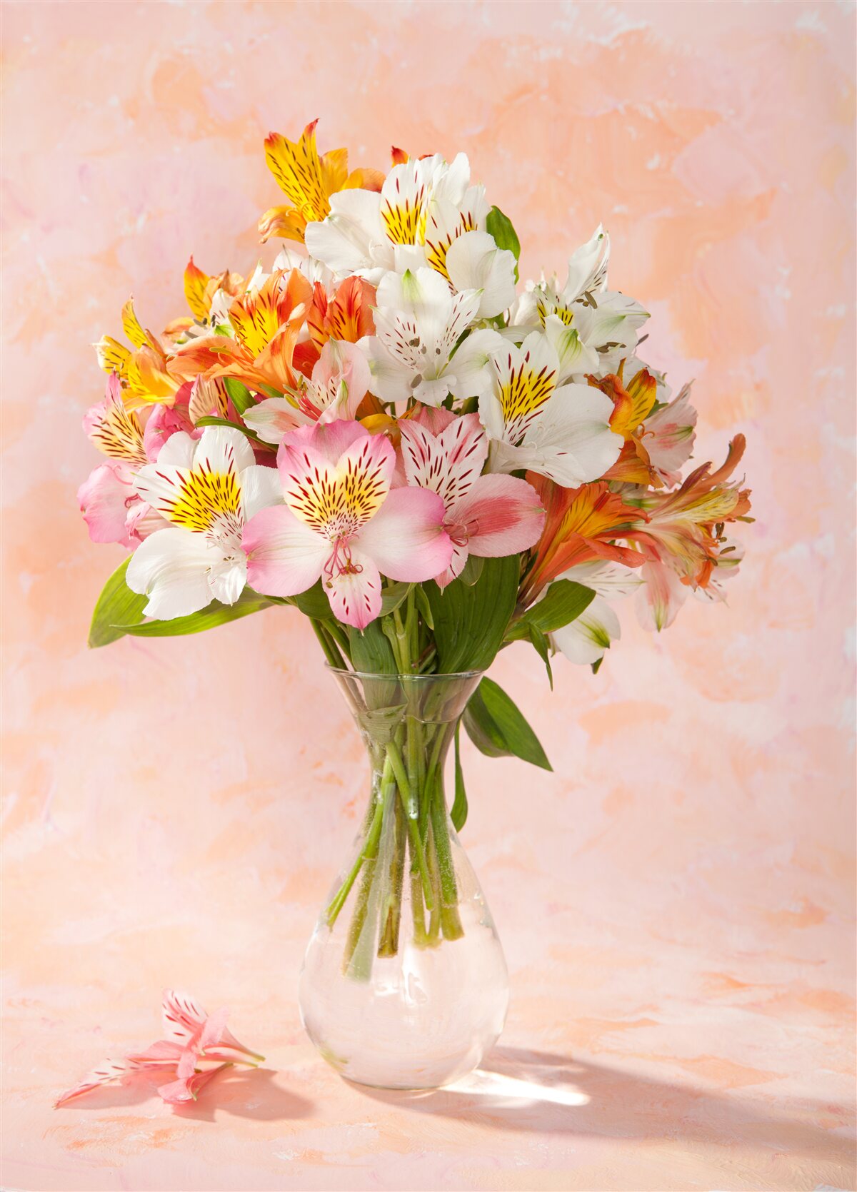 Fototapeten Die Vase hat einen Strauß verschiedener Frühlings, frische Blumen