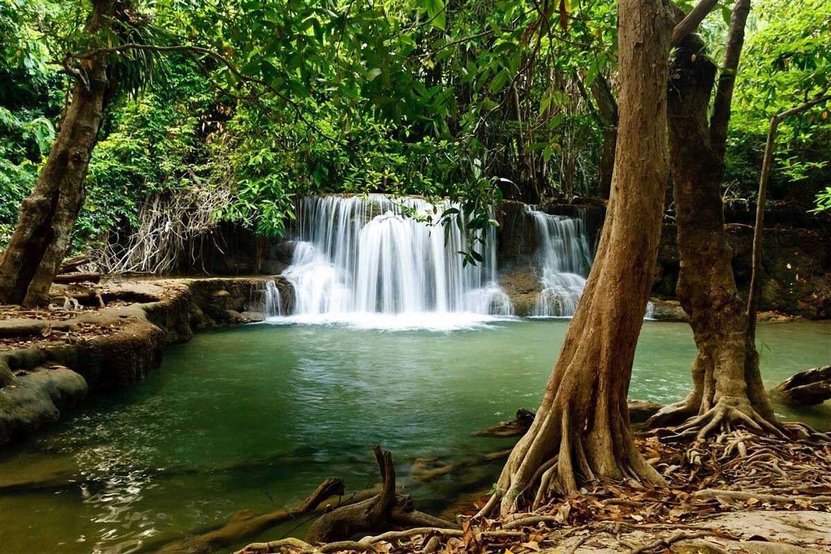 Fototapeten Ein Wasserfall in einem alten Wald