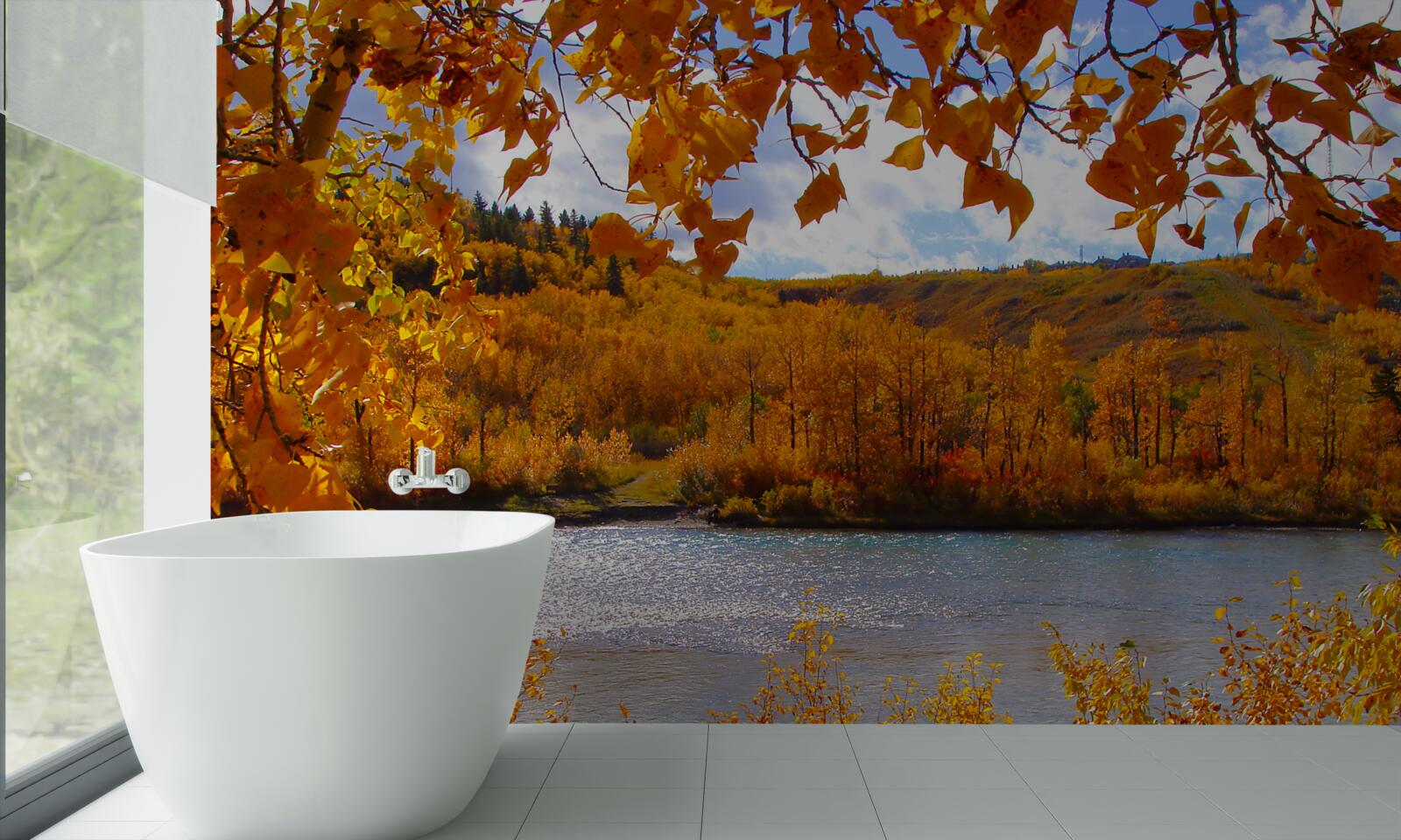 Fototapeten Goldener Herbst in einem dichten Wald in der Nähe des Flusses
