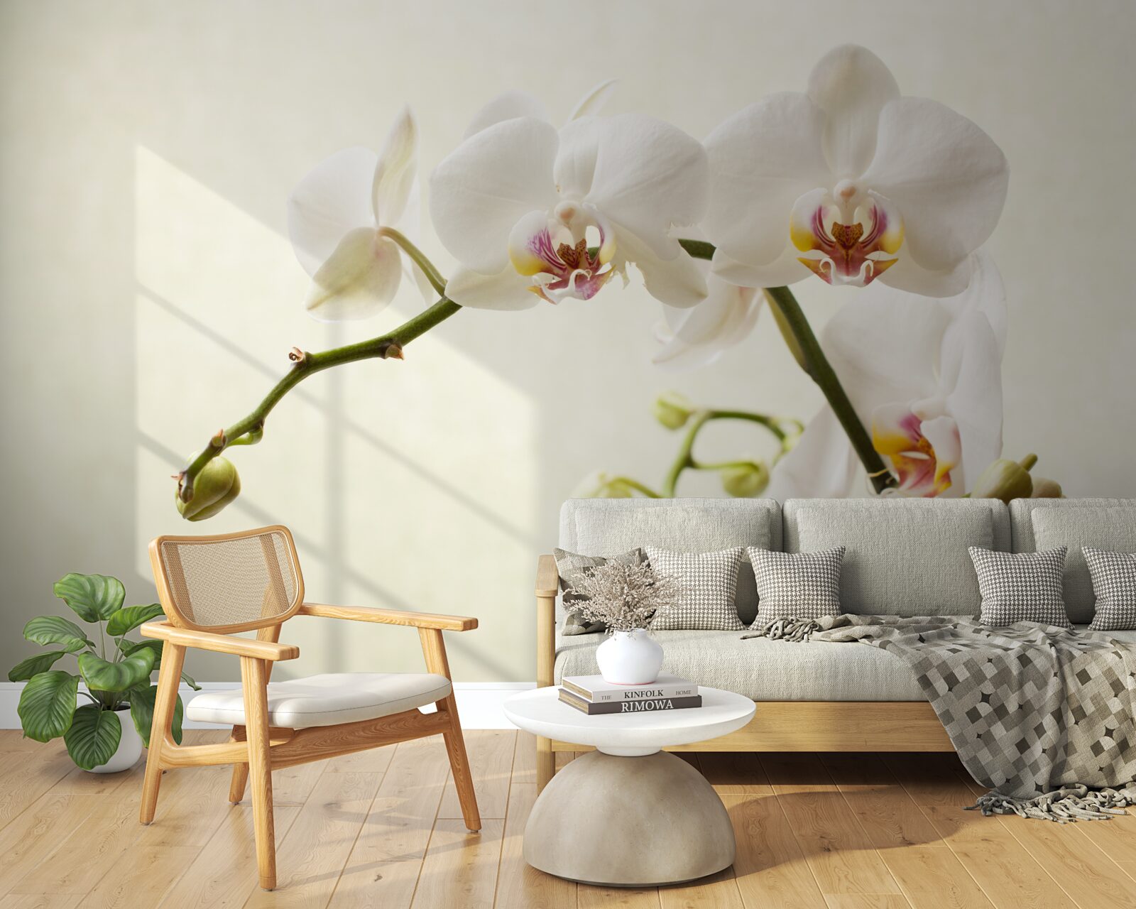 Fototapeten Zweige der weißen Orchidee auf einem hellen Hintergrund