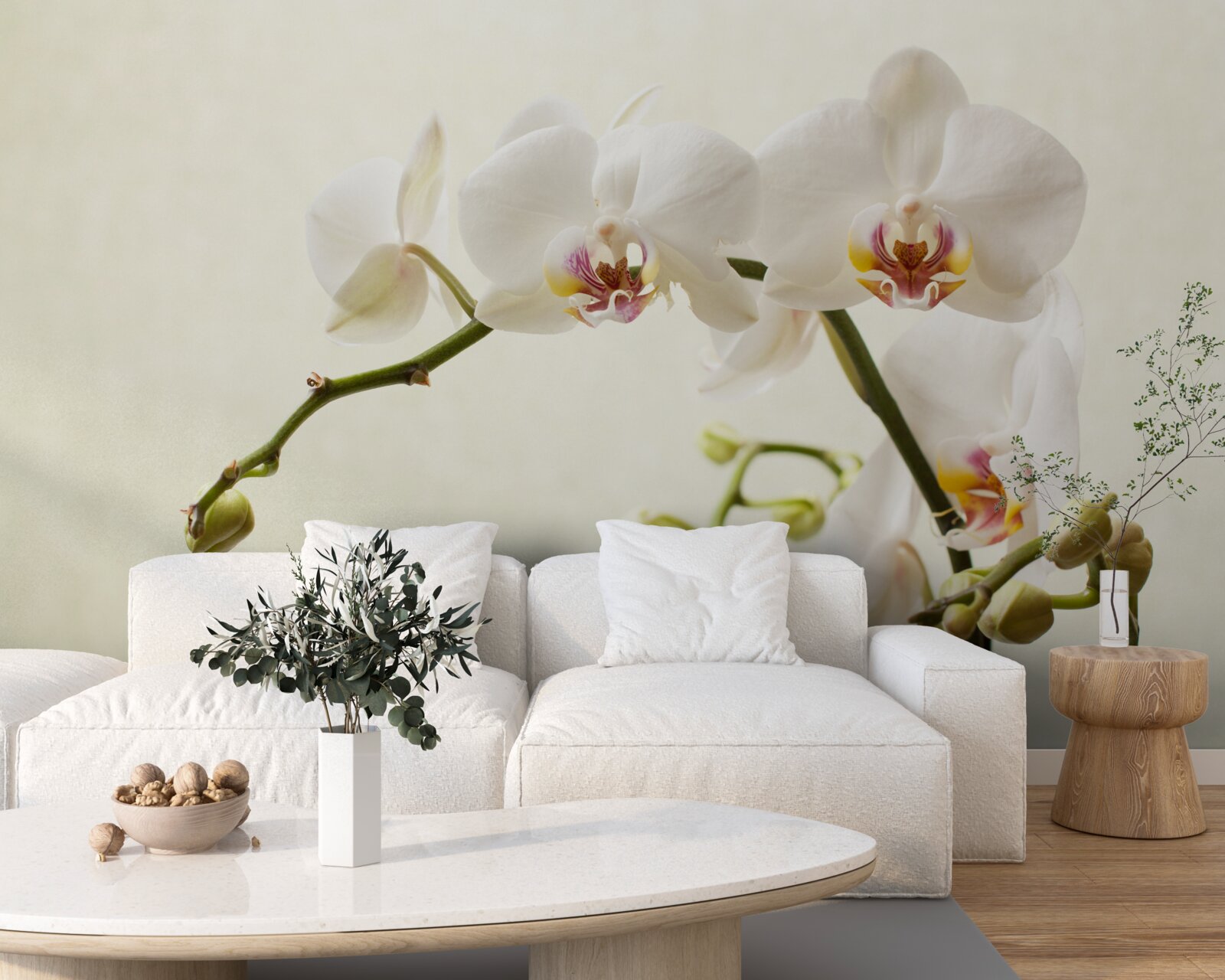 Fototapeten Zweige der weißen Orchidee auf einem hellen Hintergrund