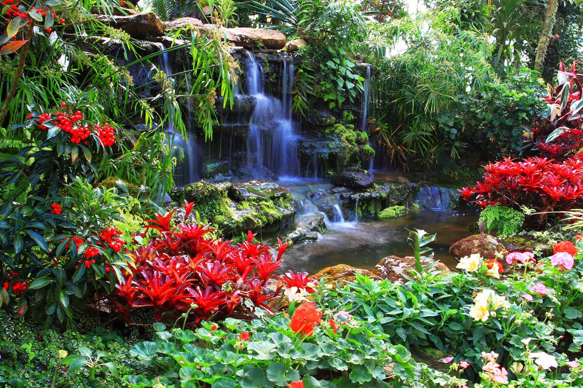 Fototapeten Ein magischer Ort in der Nähe des Wasserfalls, umgeben von Blumen umgeben