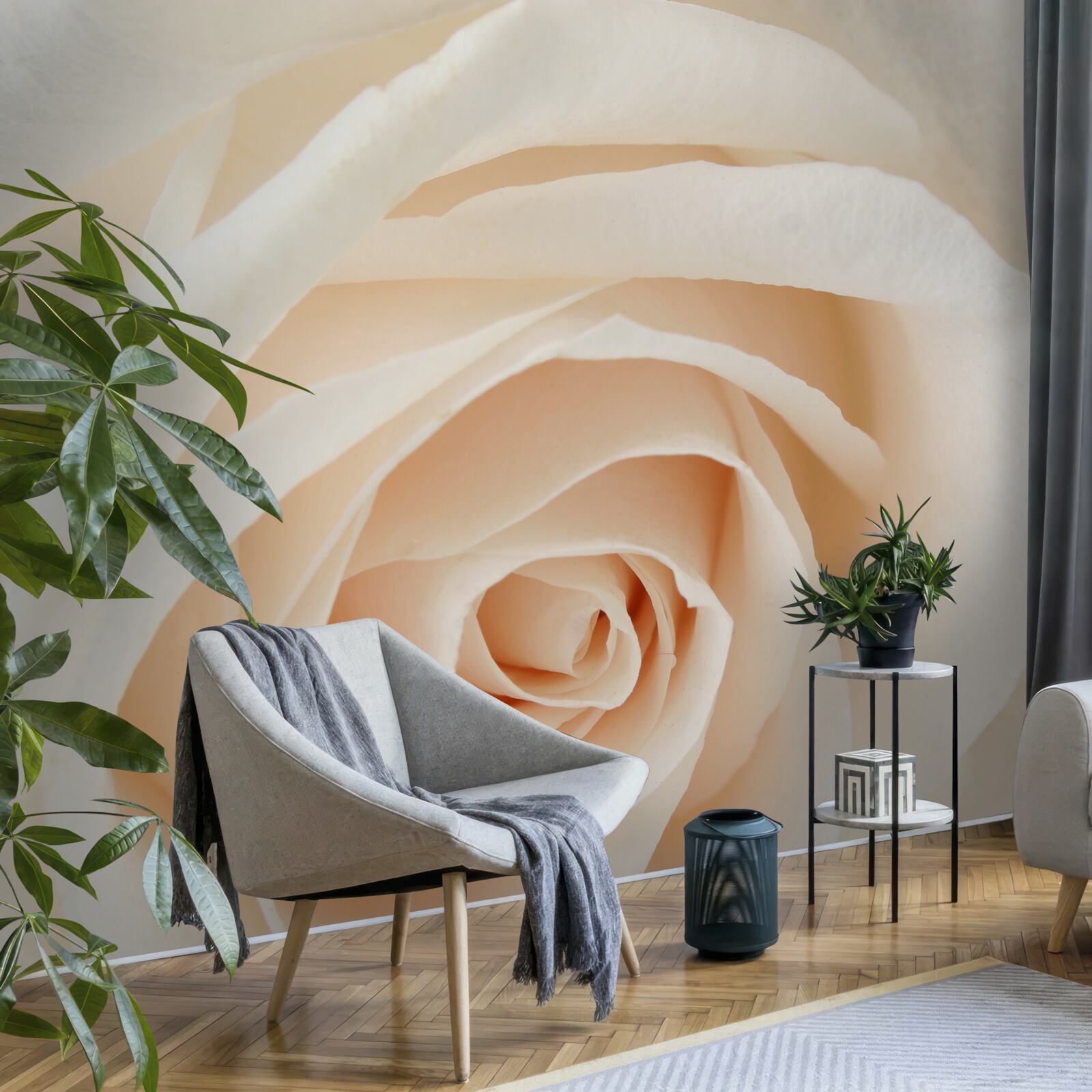 Fototapeten Cremige Rose mit weichen Blütenblättern in voller Pracht