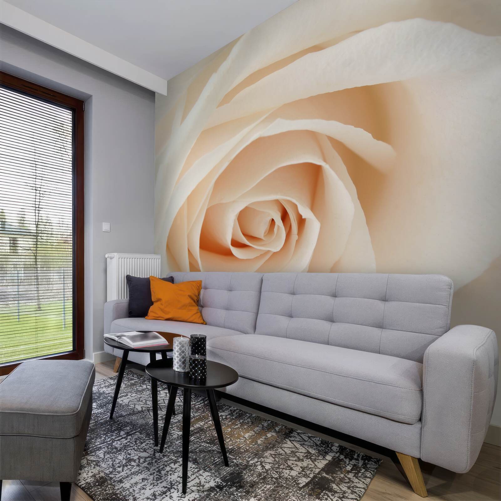 Fototapeten Cremige Rose mit weichen Blütenblättern in voller Pracht