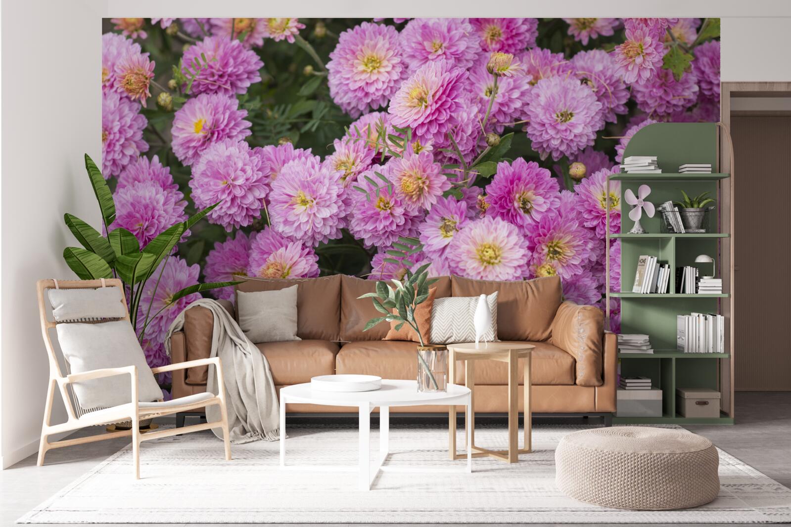 Fototapeten Schöne Gerberas mit hellen, lila Gänseblümchen