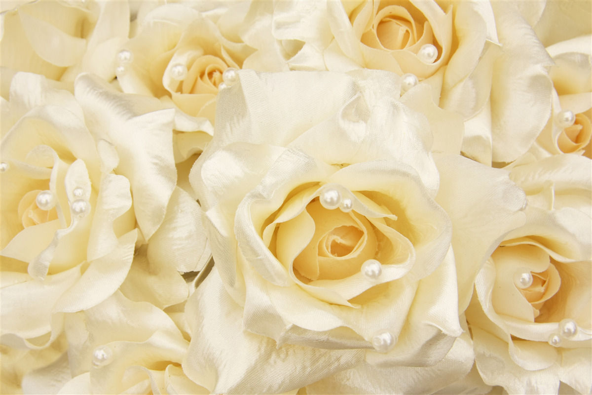 Fototapeten Eine Zusammensetzung von Rosen mit zarten weißen Blütenblättern und einem gelben Agenten