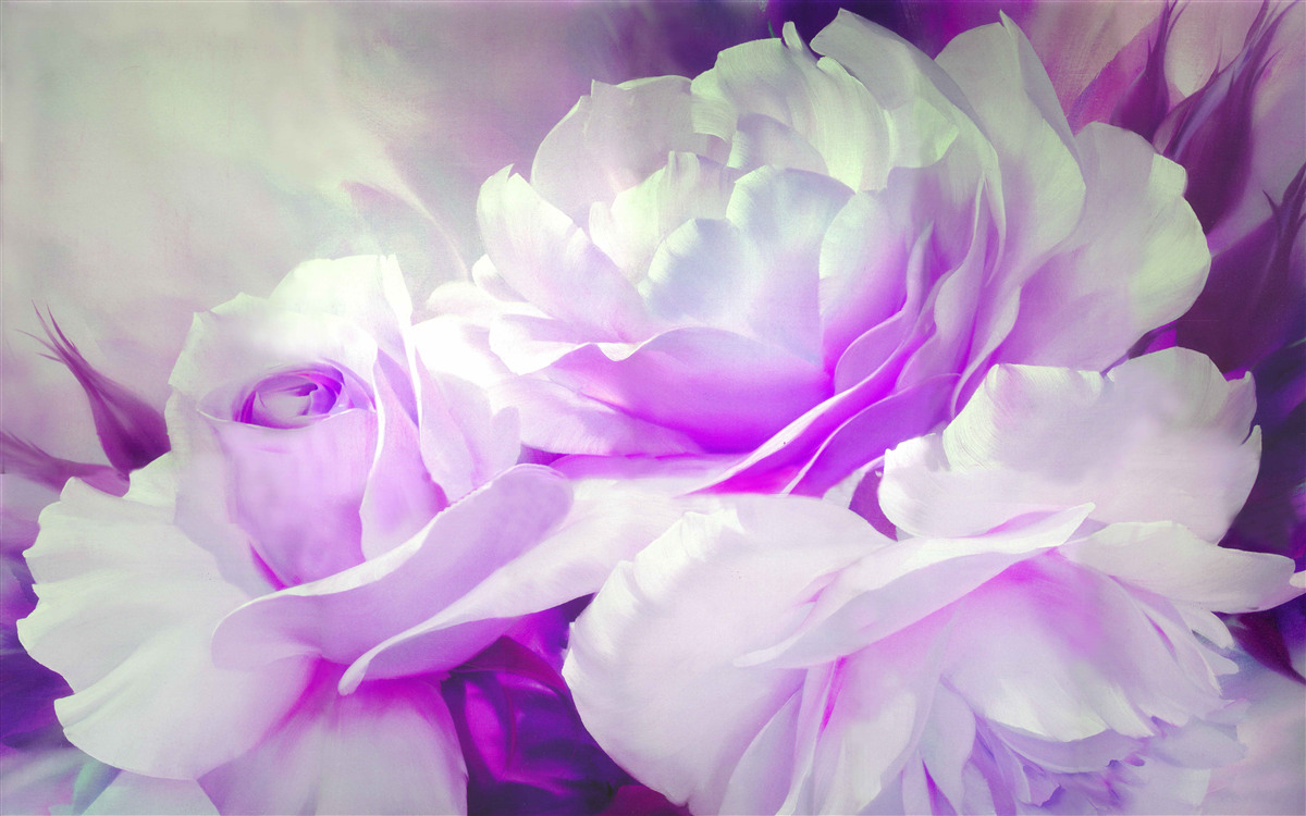 Fototapeten Die Blumen sind weiß mit lila Noten und Blitzen