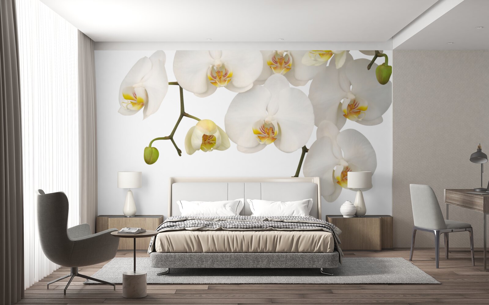 Fototapeten Sie hängen Orchideen mit weißen Blumen auf
