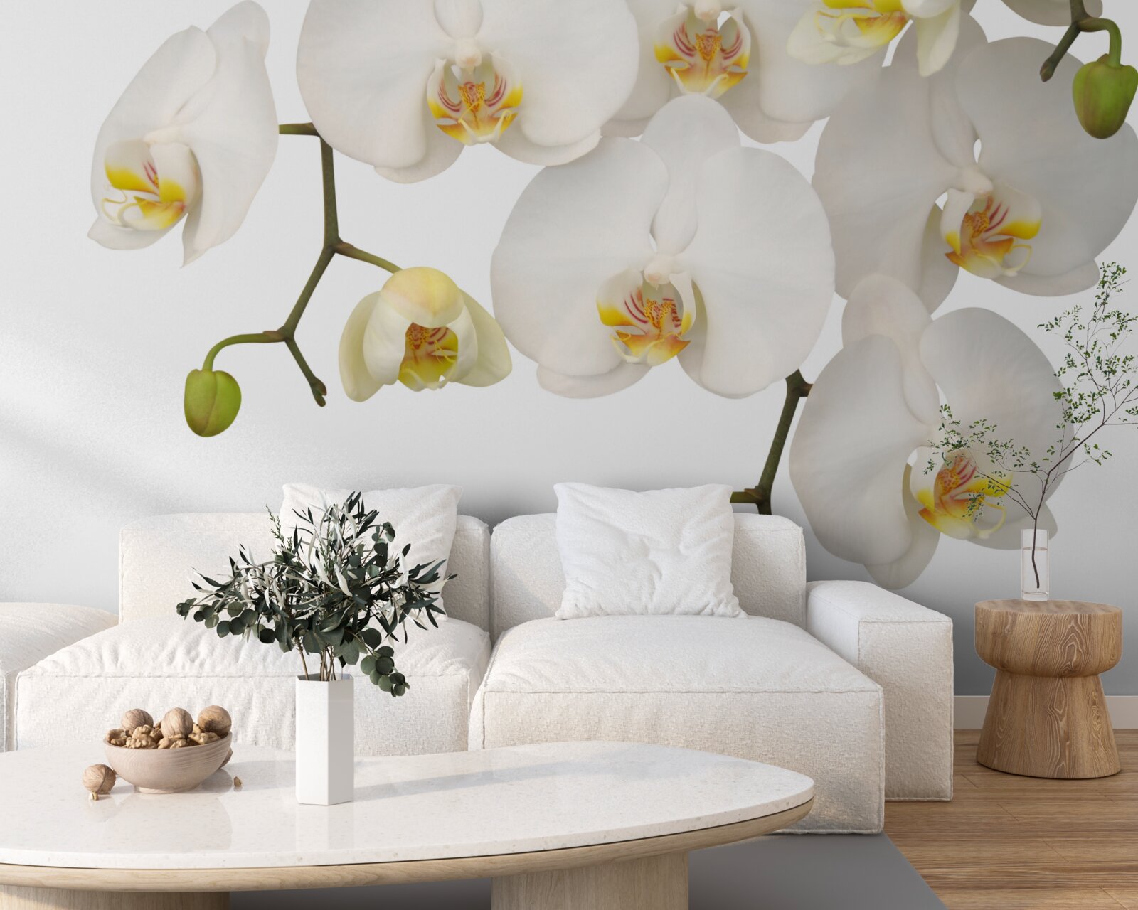 Fototapeten Sie hängen Orchideen mit weißen Blumen auf