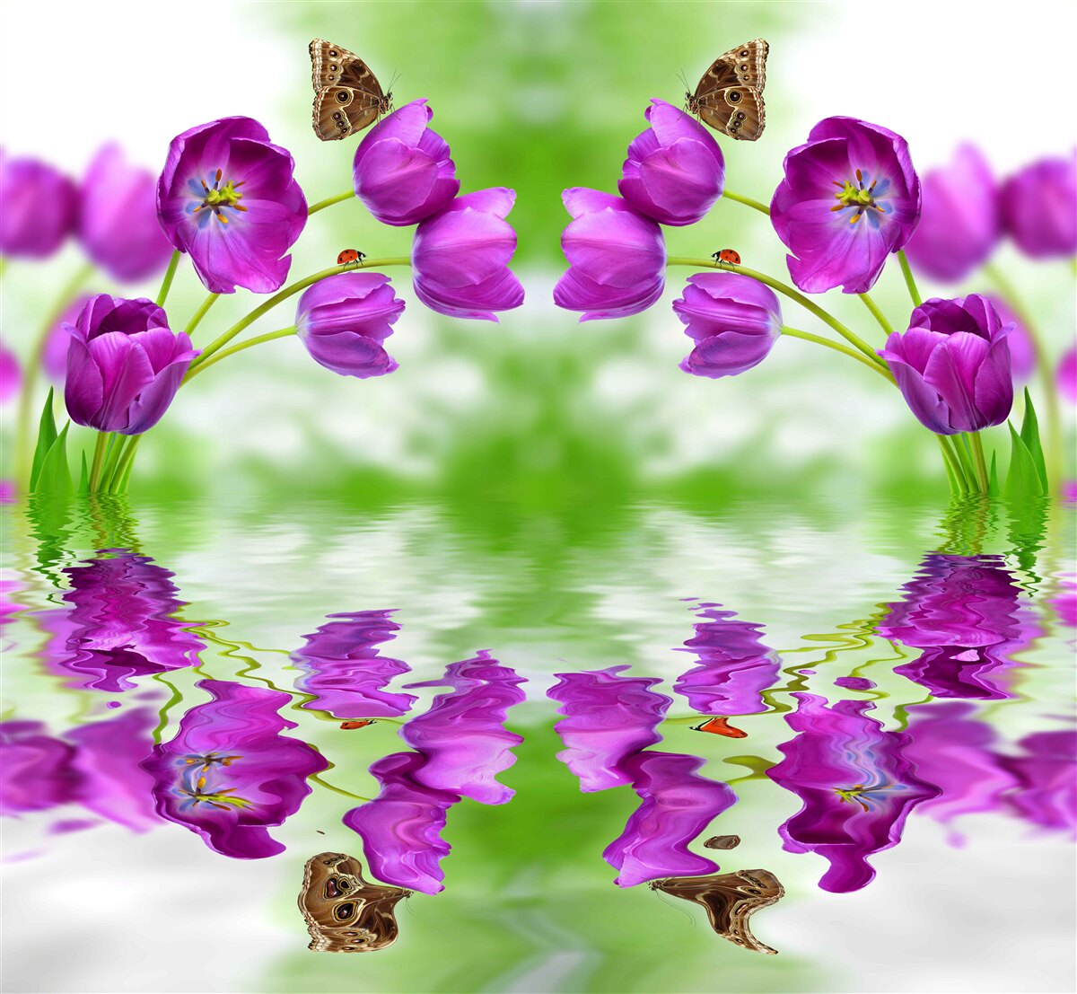Fototapeten Die Blumen reflektieren die Schmetterlinge, die im Wasser auf ihnen ruhen