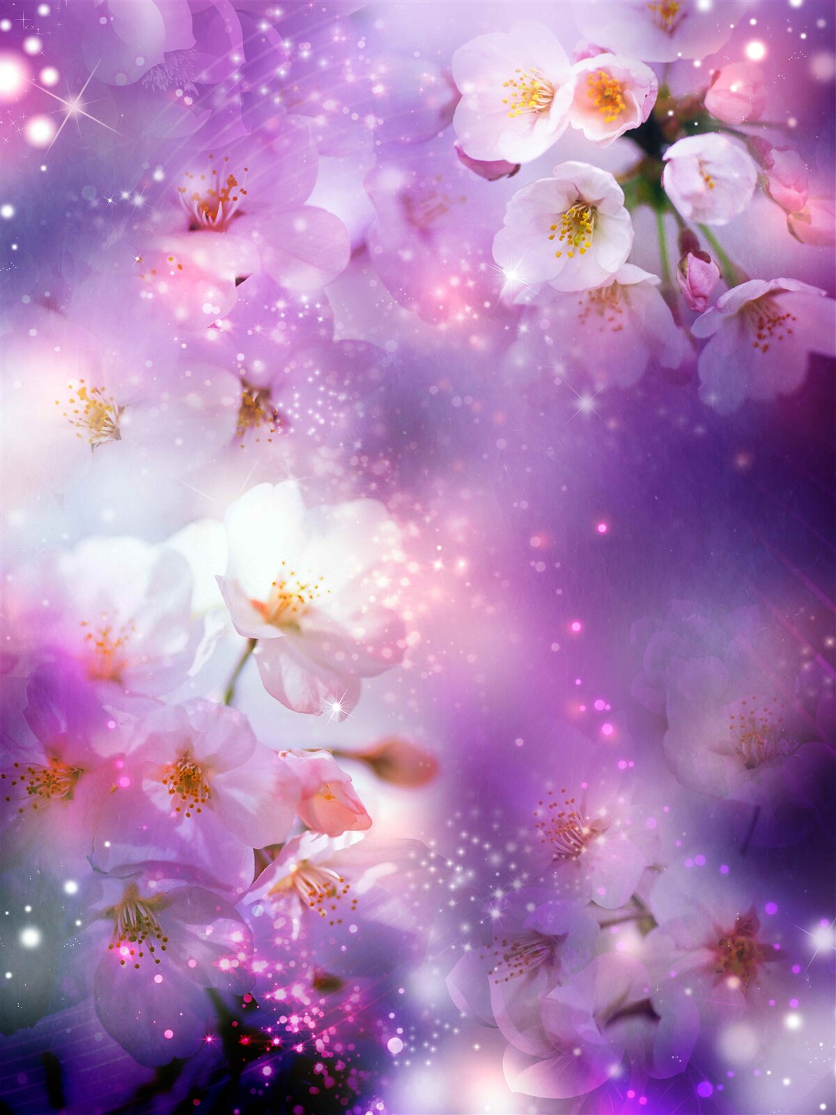 Fototapeten helle Blumen auf einem lila Hintergrund