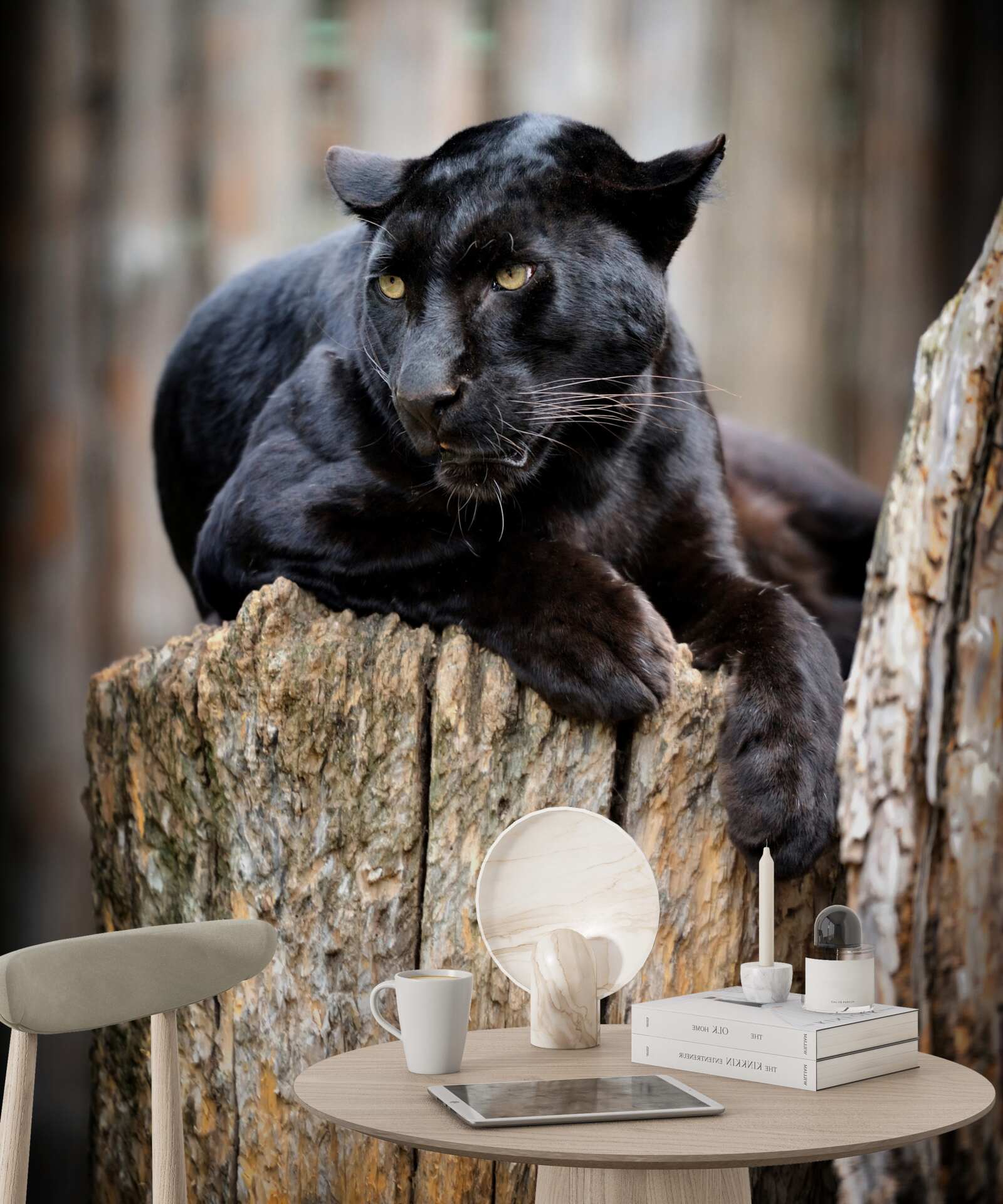 Fototapeten Ein schwarzer Leopard sitzt auf dem Baum