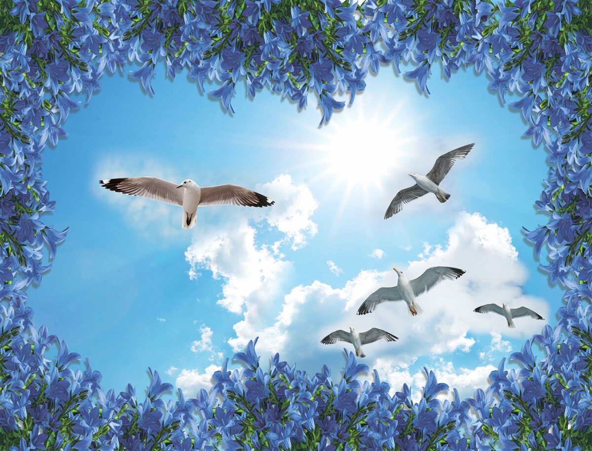 Fototapeten Möwen schweben am blauen Himmel