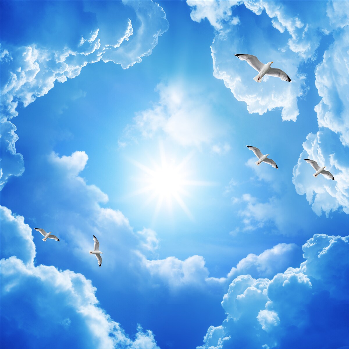 Fototapeten Helle Sonne während des Tages am blauen Himmel