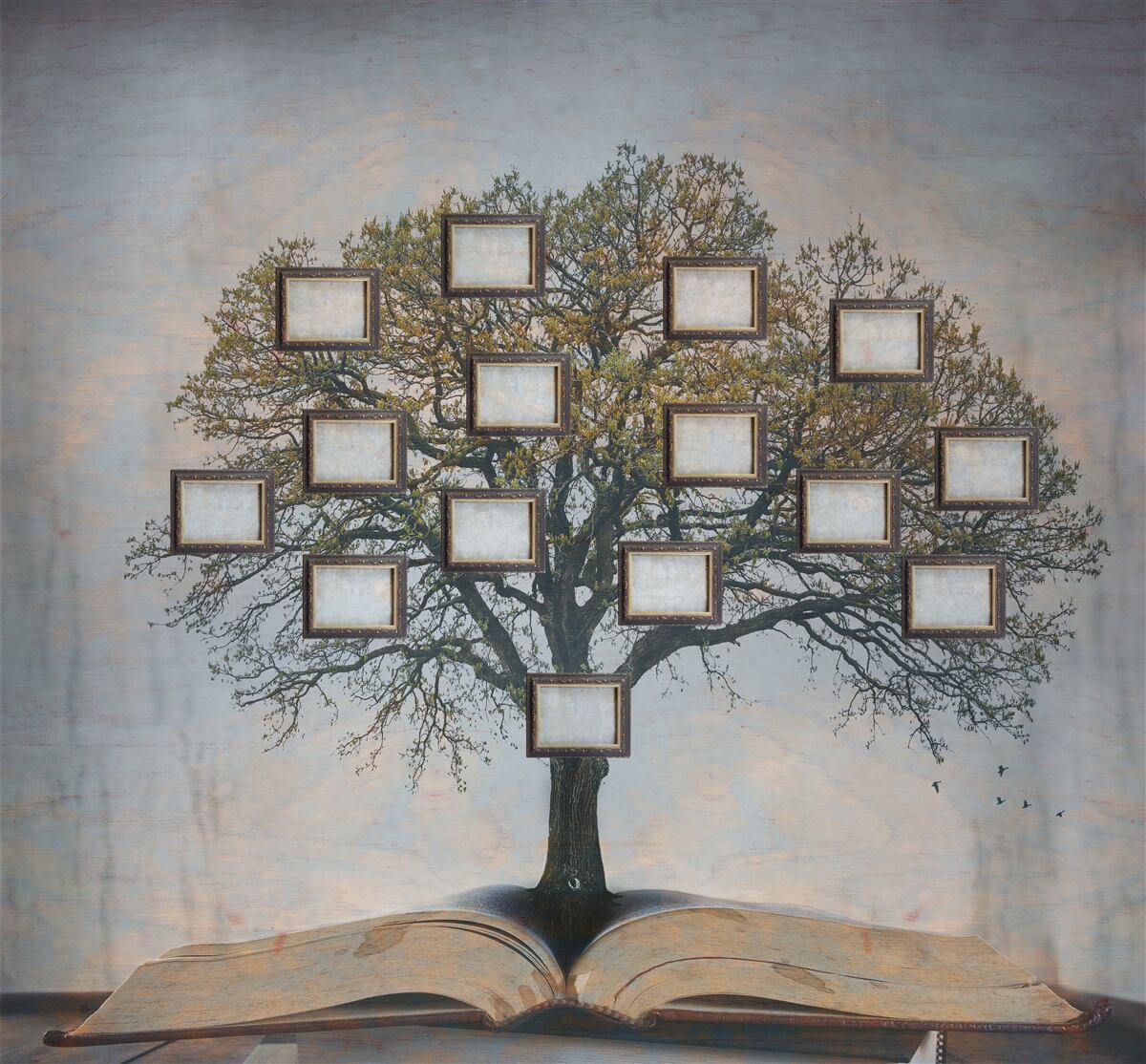 Fototapeten Genealogischer Baum ohne Gemälde