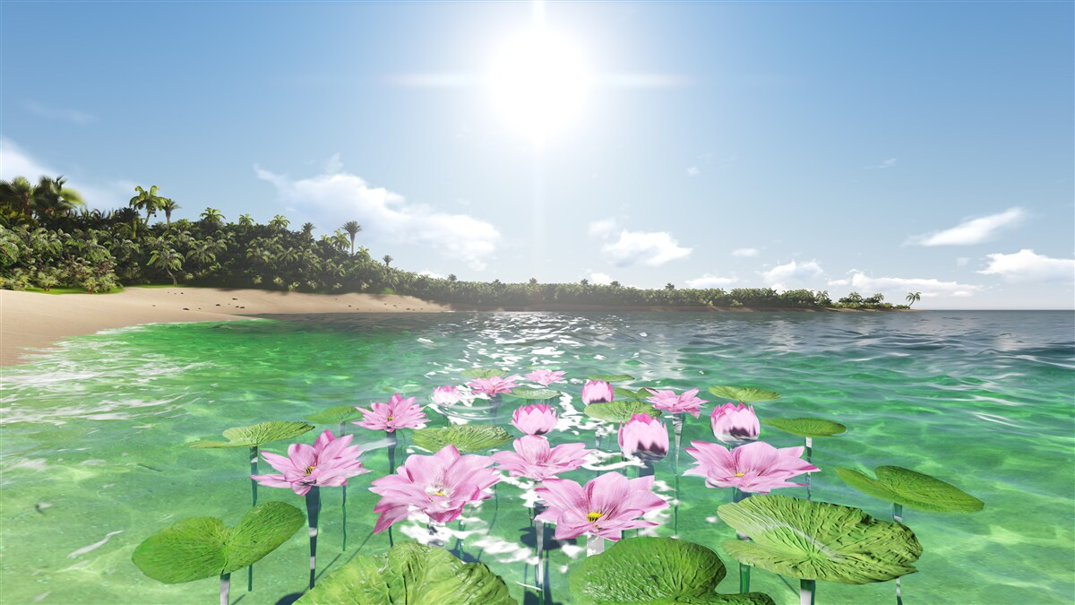 Fototapeten Rosa Lotus auf der Wasseroberfläche