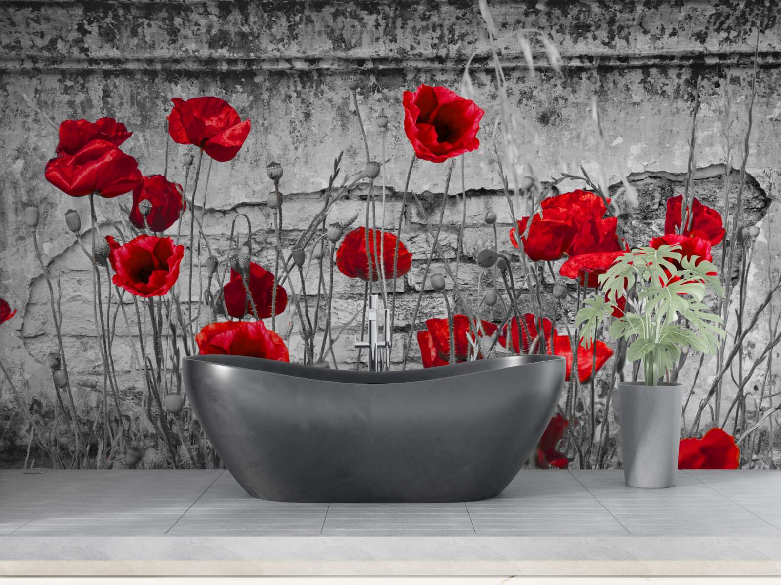 Fototapeten Crimson Poppies auf grauem Hintergrund