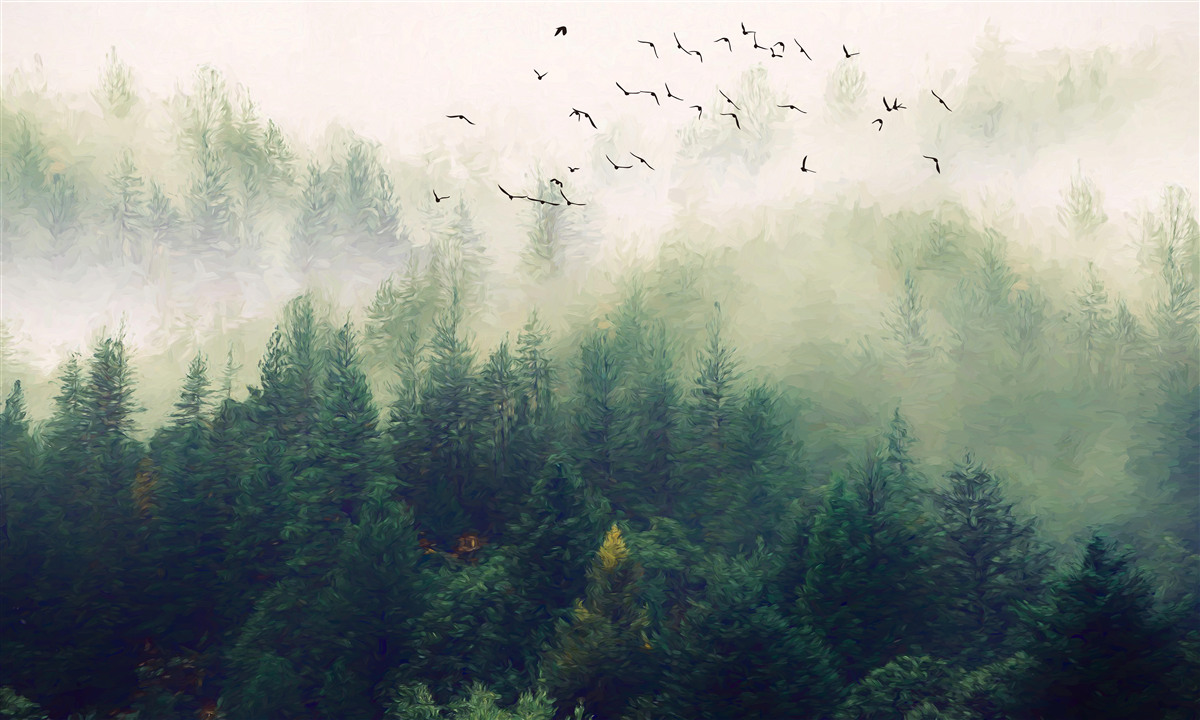 Fototapeten Vögel fliegen in der nebligen Luft über den Wald