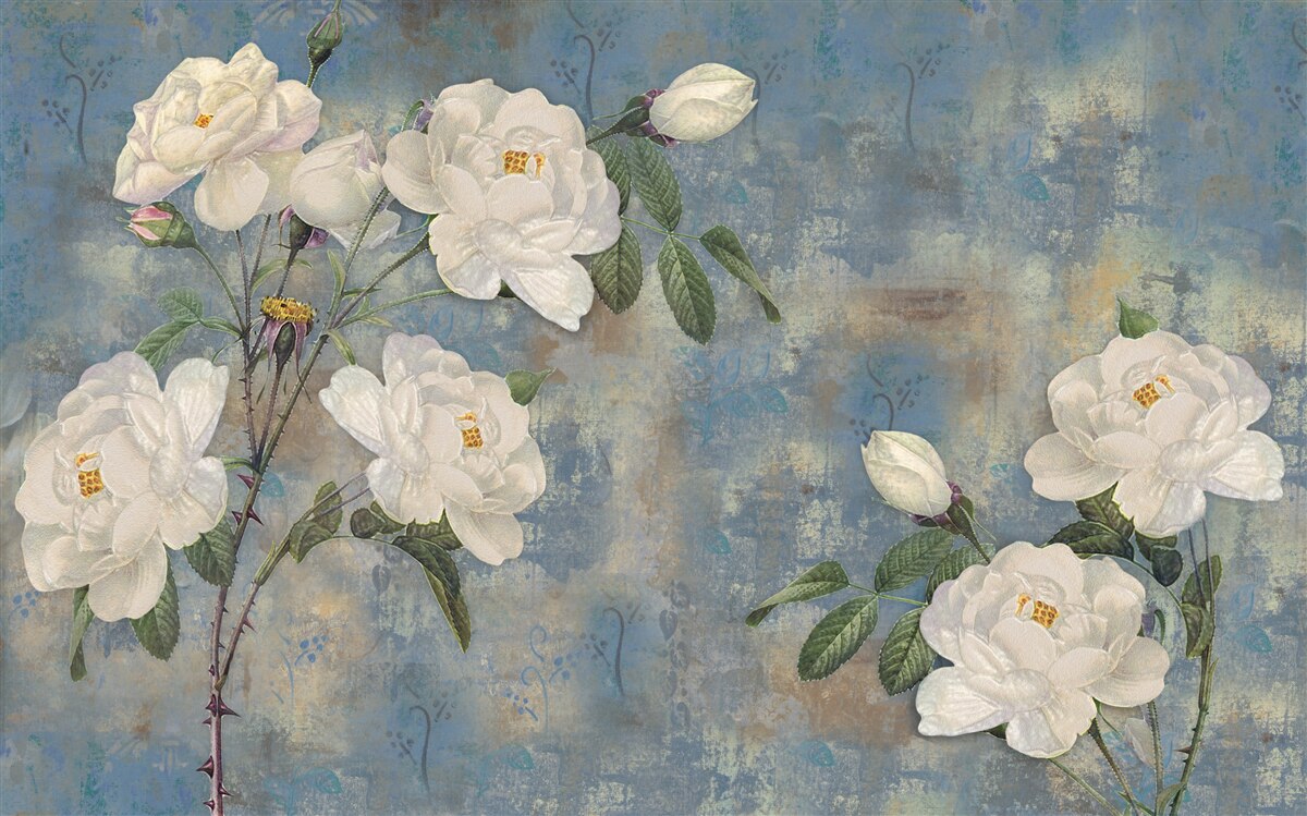 Fototapeten Weiße Rosen auf blauem Hintergrund