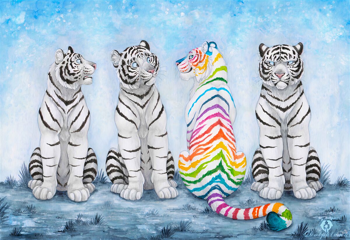 Fototapeten ein bunter Tiger und drei weiße Tiger