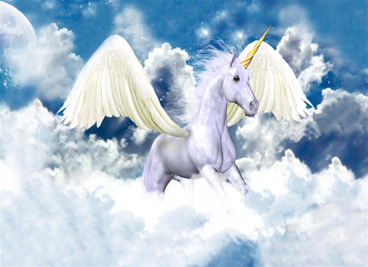 Fototapeten Pegasus fliegt zwischen den Wolken