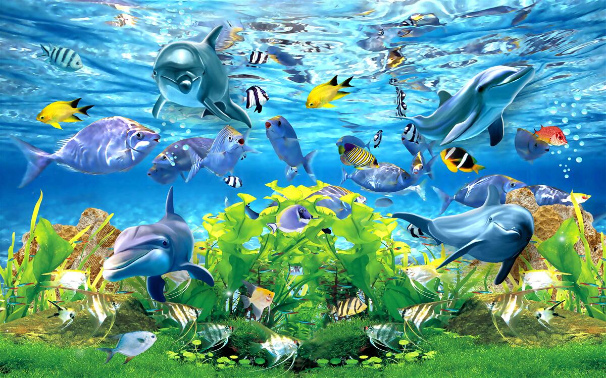 Fototapeten Die Unterwasserwelt lebendig