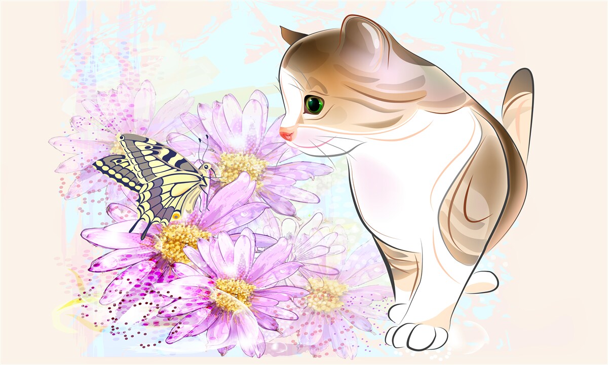 Fototapeten Der Schmetterling erregte die Aufmerksamkeit der Katze