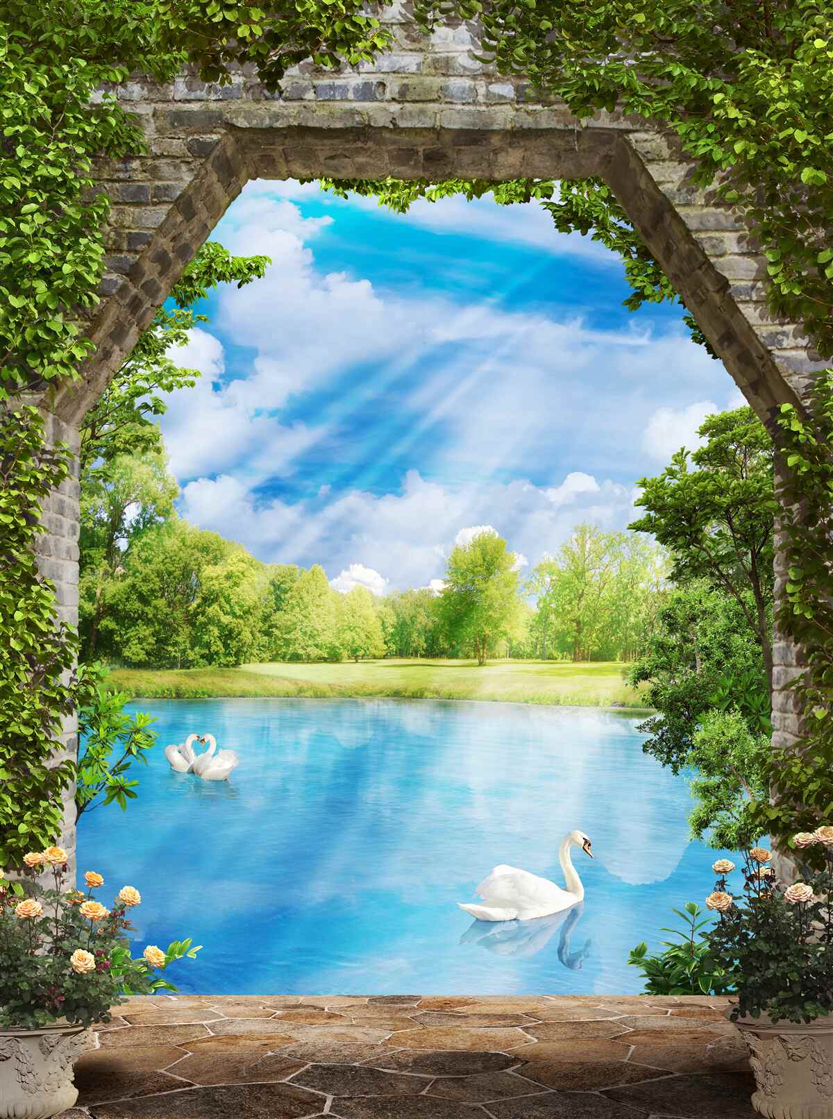 Fototapeten Schwäne mit weißem Gefieder schwimmen am See