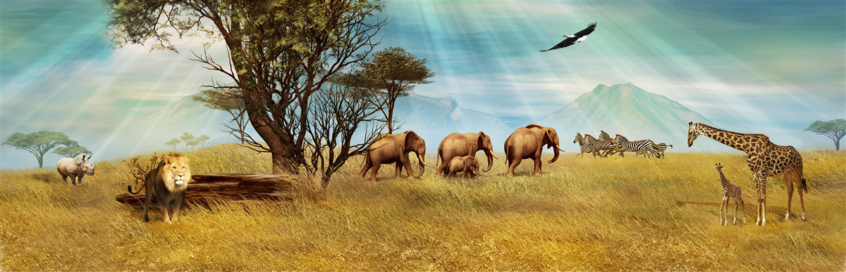 Fototapeten Afrikanische Tierpromenade