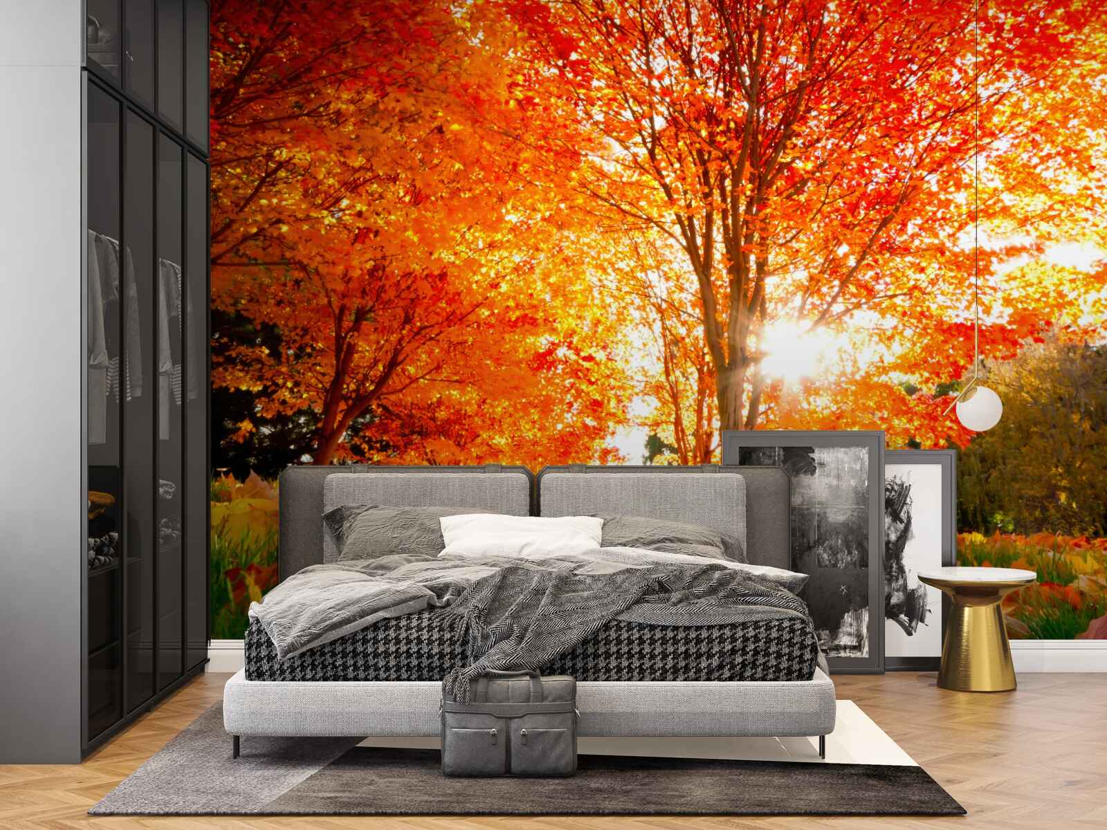 Fototapeten Ein Wald voller Herbstfarben