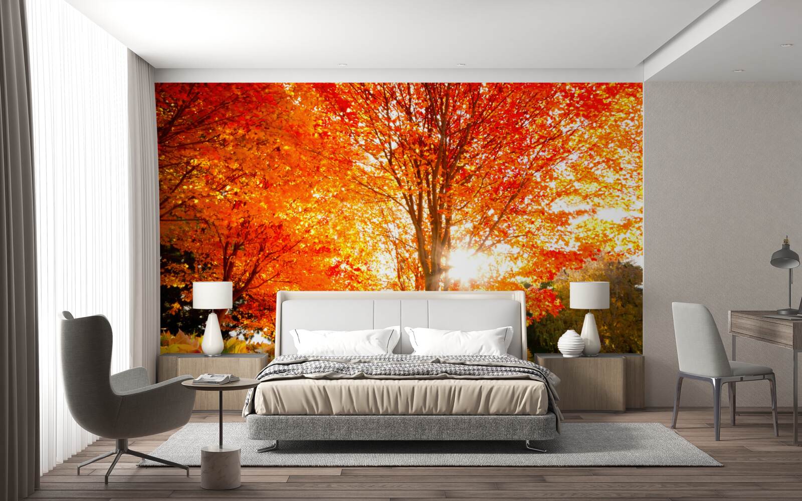 Fototapeten Ein Wald voller Herbstfarben