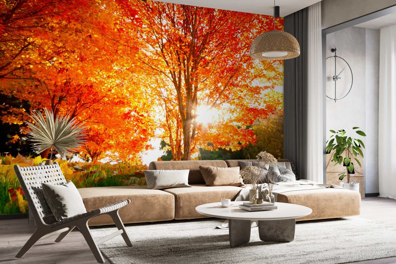 Fototapeten Ein Wald voller Herbstfarben