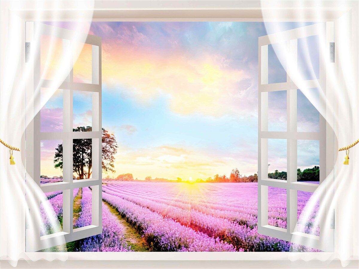 Fototapeten Öffnen Sie das Fenster mit Aussicht auf das Lavendelfeld