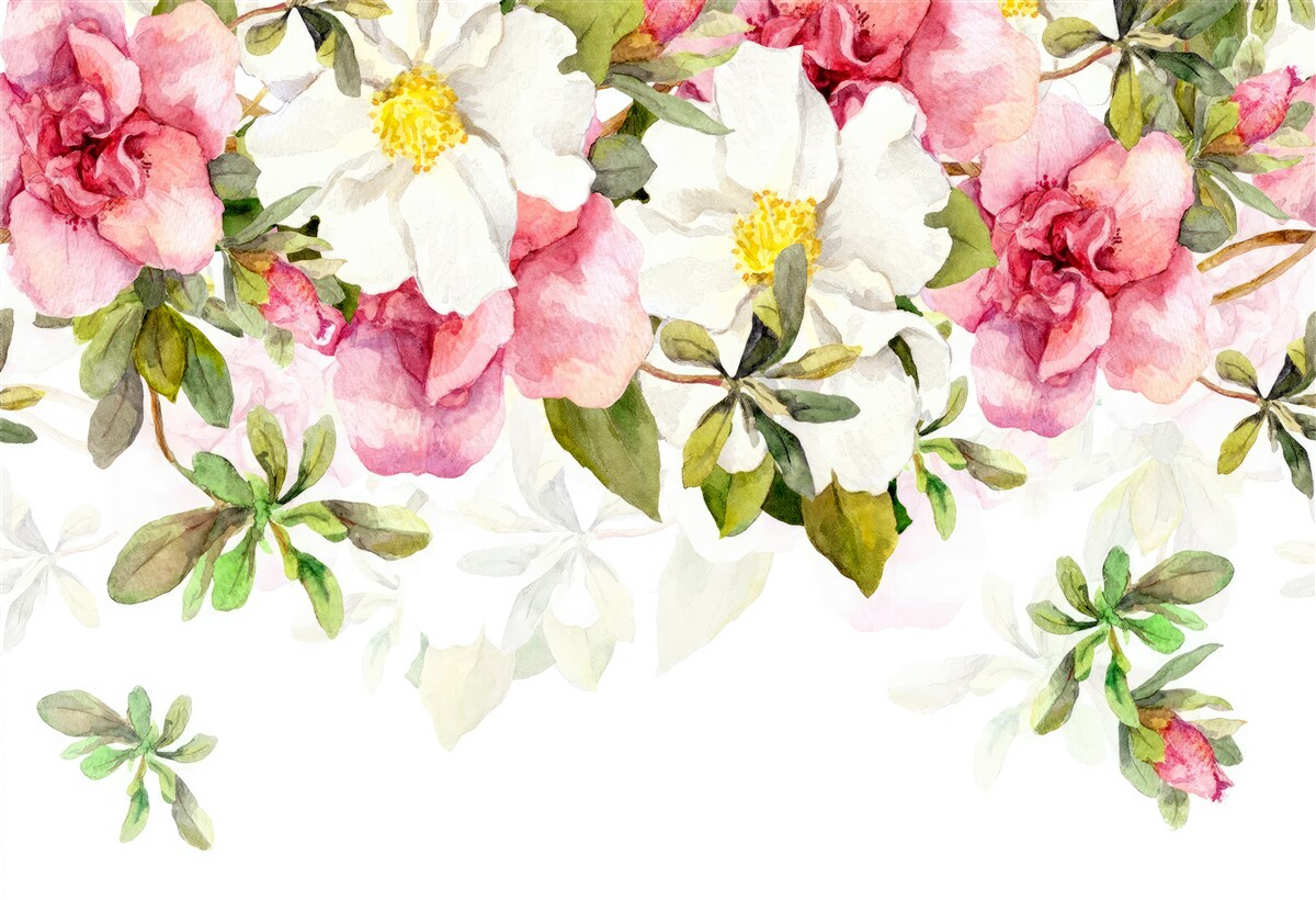 Fototapeten Weiße Gänseblümchen und rosa Rosen