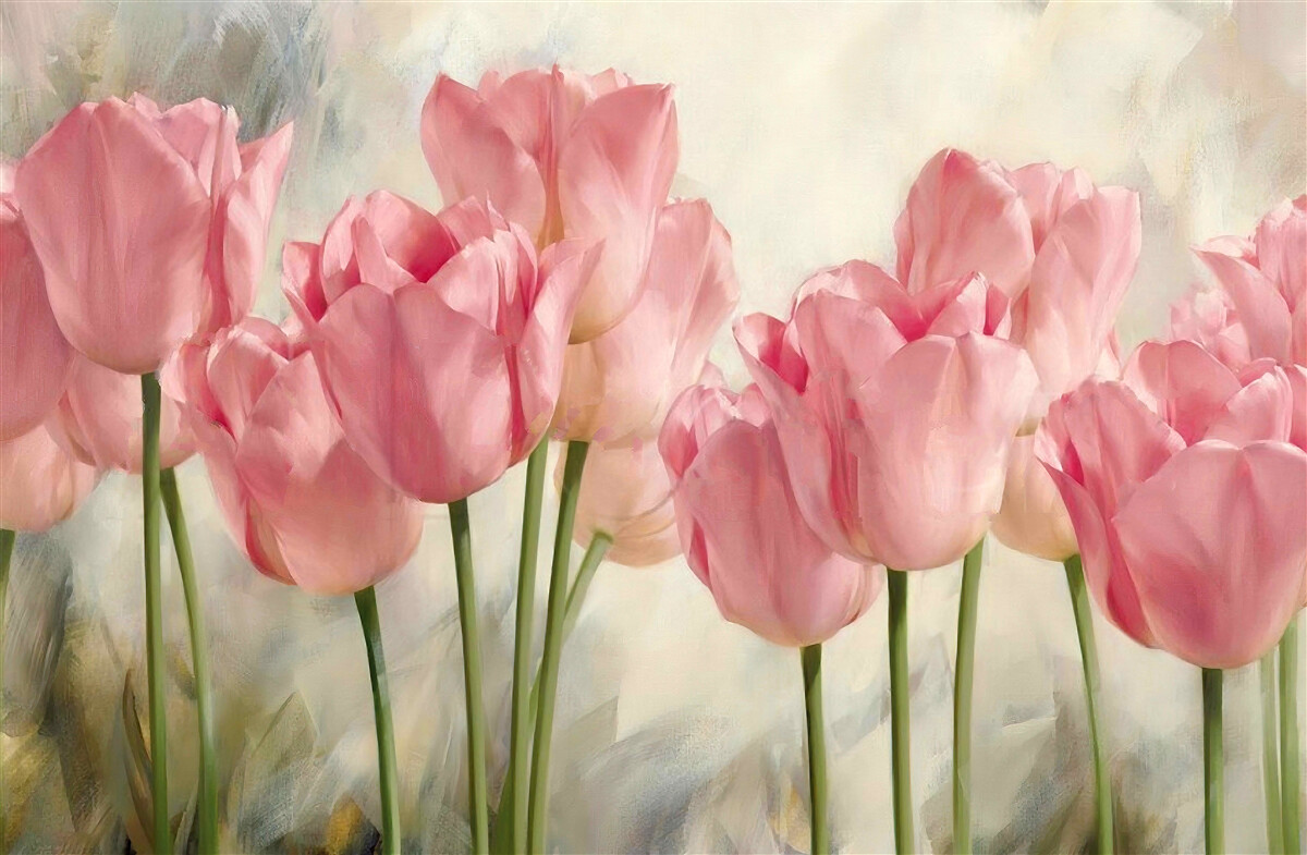 Fototapeten Blühende rosa Tulpen