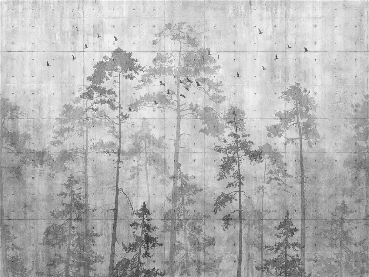 Fototapeten Wald in Schwarz und Weiß