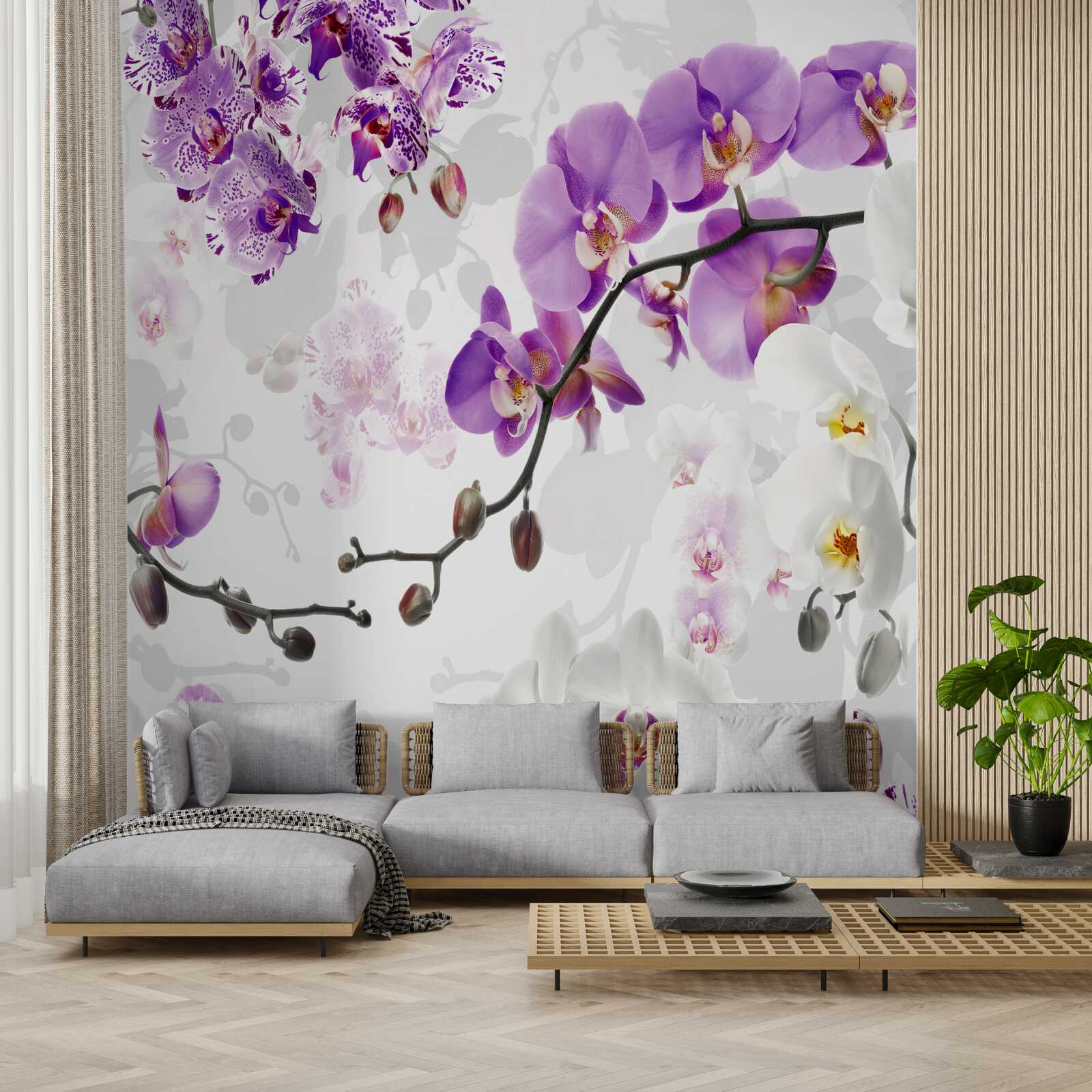 Fototapeten Ein Ast mit blühenden lila Orchideen