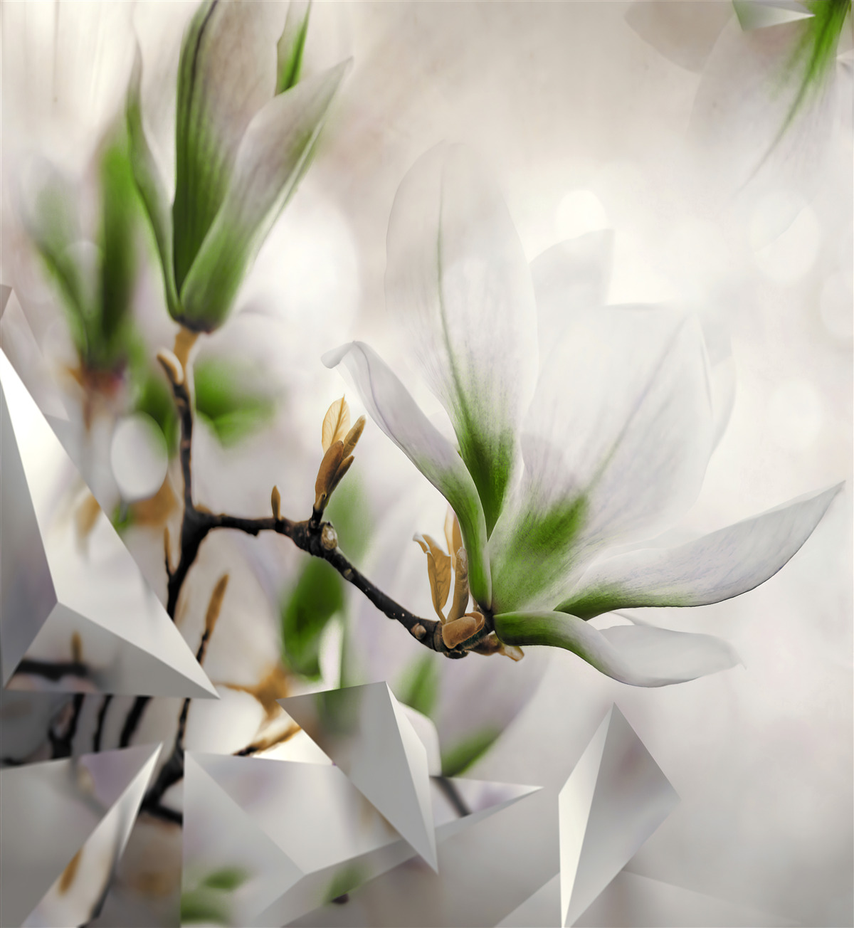 Fototapeten Blumen in weißen und grünen Schatten kombiniert mit geometrischen Formen