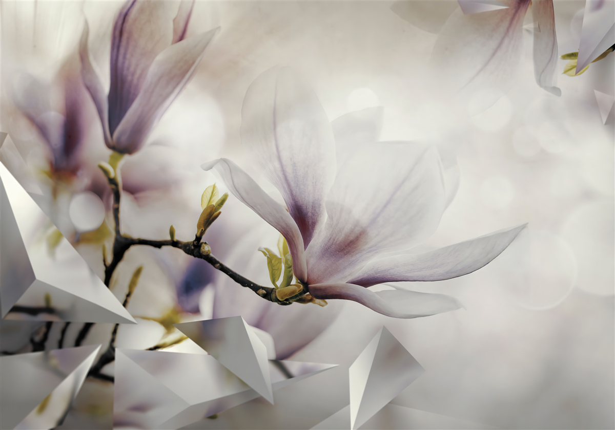 Fototapeten Große lila Blüten und weiße Formen